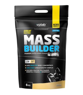 VPLab Mass Builder (5 kg)