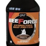 QNT BeeForce (1000 г)