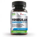 WestPharm Tribulus 500 mg (60 caps)